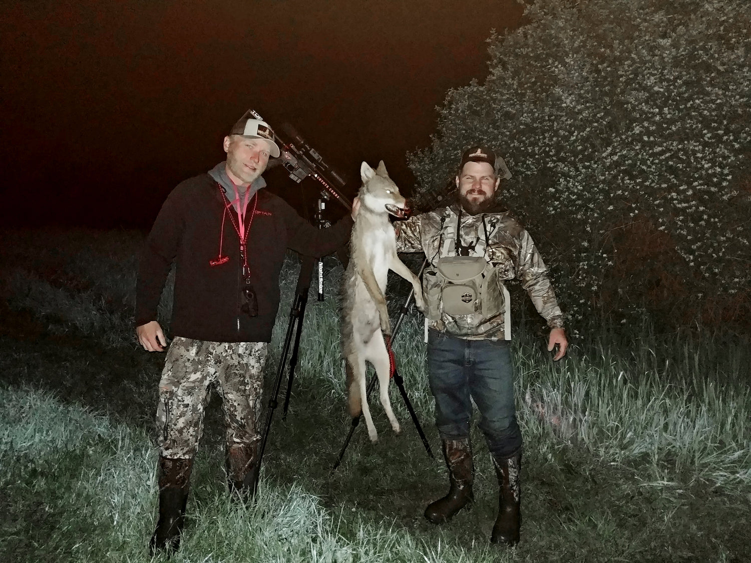Predator hunting tips and gear