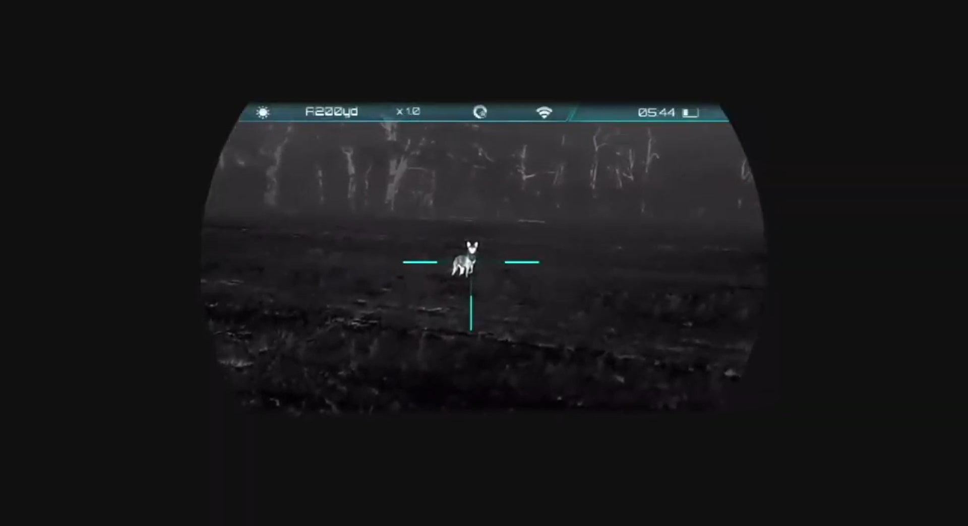 Best thermal optics for predator hunting