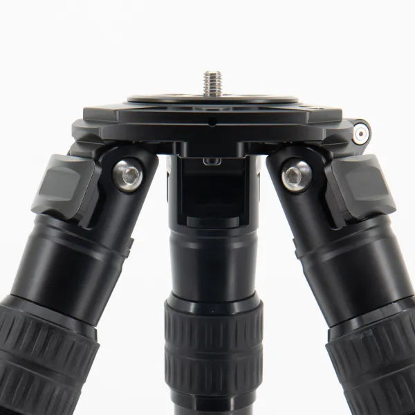 The Commander    Warrior tripods